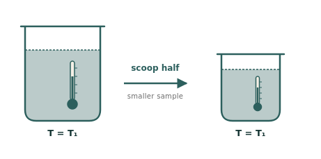 Two beakers with thermometers. Left is full, thermometer reads T equals T1. Right is smaller (scooped portion), thermometer reads the same T equals T1