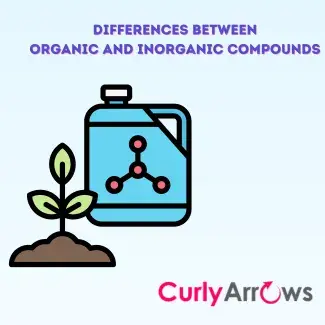 What is the difference between Organic and Inorganic Chemistry?