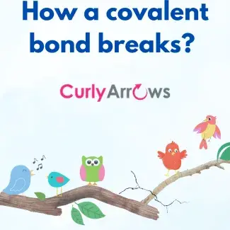 How a covalent bond breaks