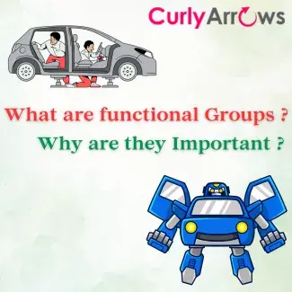 What are Functional Groups? How are they important? 