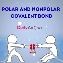 Polar and Non-Polar Covalent Bonds