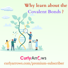 How Important is Covalent Bond in Organic Chemistry?