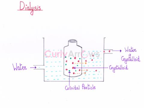 Definition of Dialysis
