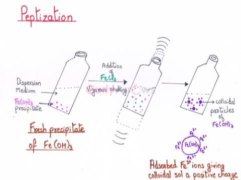 Definition of Peptization