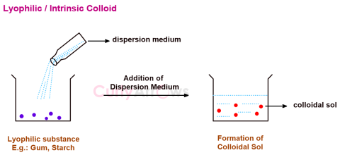 Lyophilic Colloid Definition