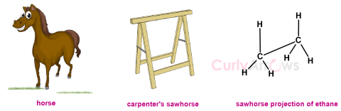 Definition of Sawhorse Projections