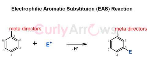 Definition of Meta Directors in Organic Chemistry