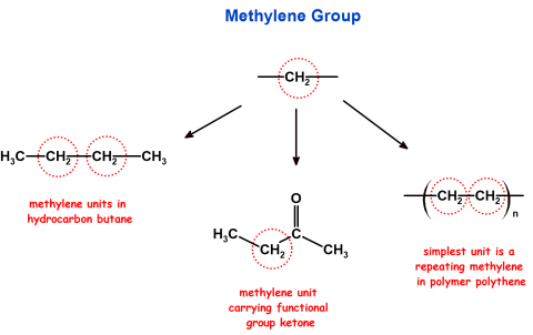 Definition of Methylene Species and Methylene Group