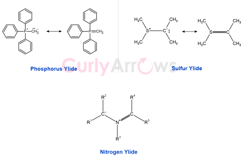 Definition of Ylide