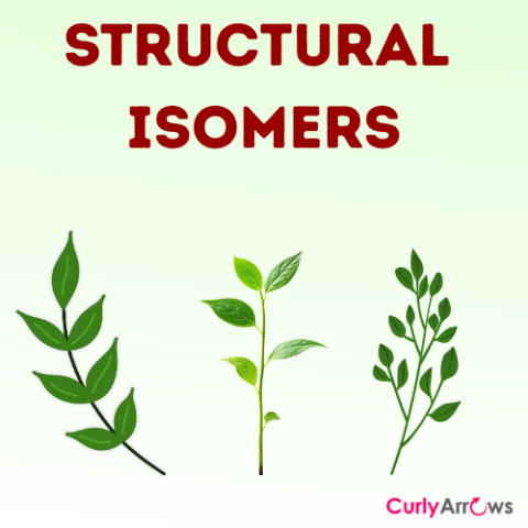 Definition of Structural Isomers